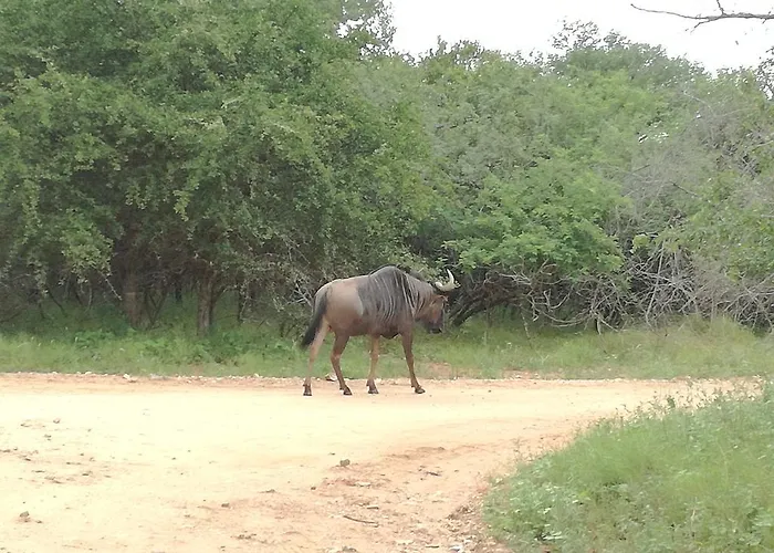 Roundhouse Marloth Park