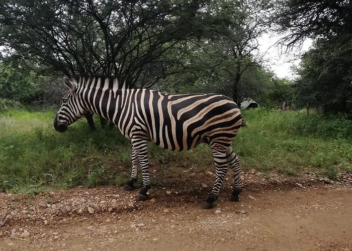 Roundhouse Marloth Park